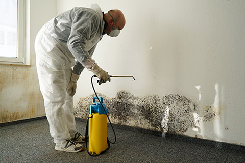 Team member wearing protective gear during a commercial mold remediation service in Orlando Florida.